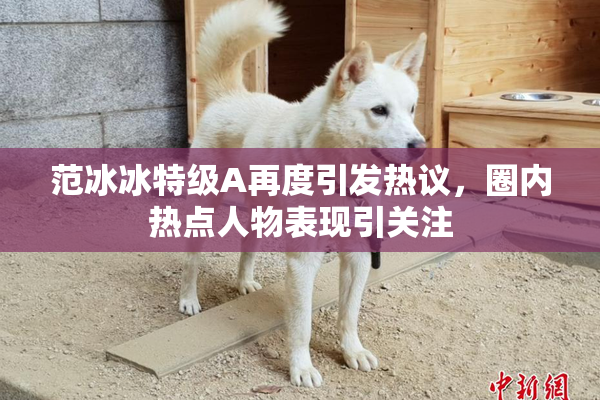 范冰冰特级A再度引发热议，圈内热点人物表现引关注