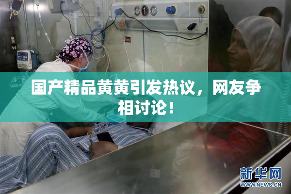 国产精品黄黄引发热议，网友争相讨论！