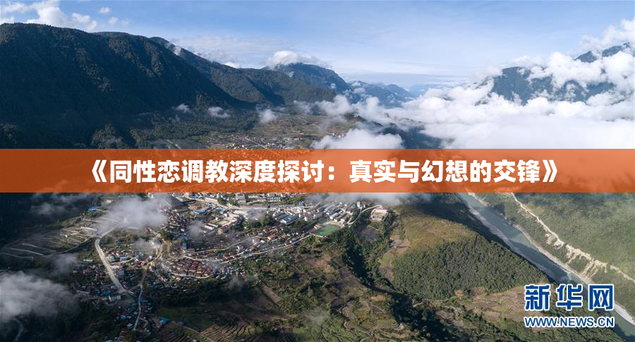 《同性恋调教深度探讨：真实与幻想的交锋》