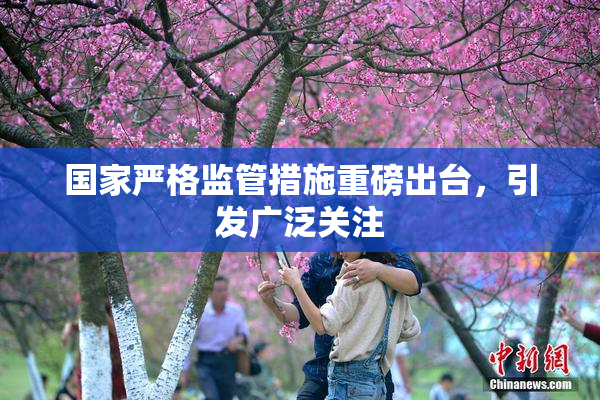 国家严格监管措施重磅出台，引发广泛关注