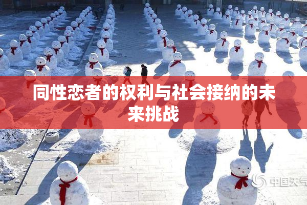 同性恋者的权利与社会接纳的未来挑战