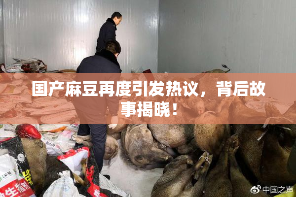 国产麻豆再度引发热议，背后故事揭晓！