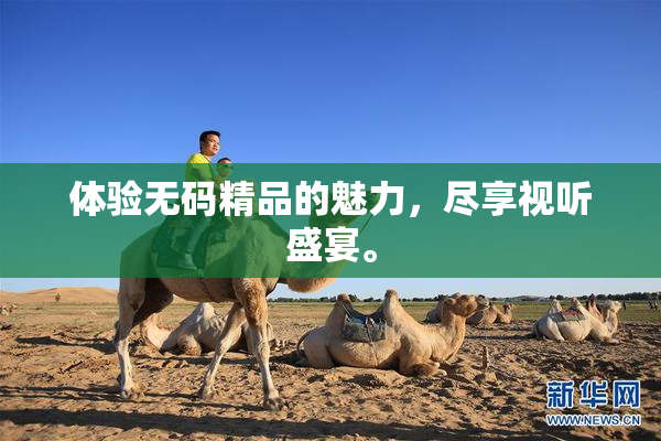 体验无码精品的魅力，尽享视听盛宴。