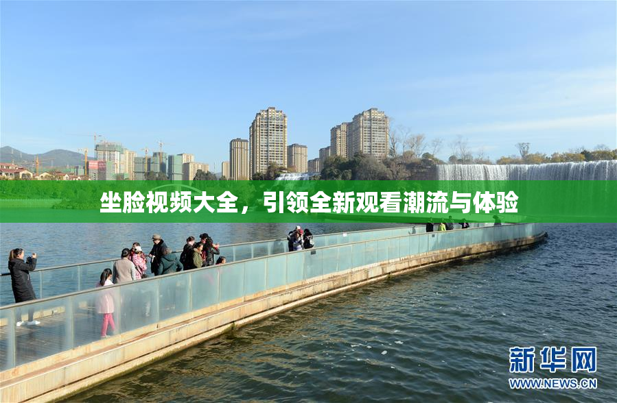 坐脸视频大全，引领全新观看潮流与体验