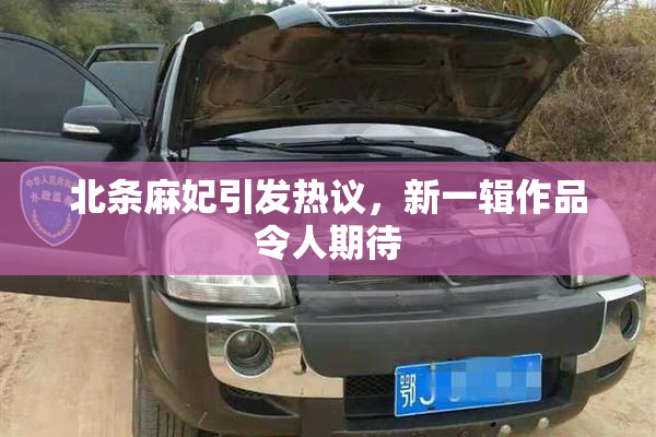 北条麻妃引发热议，新一辑作品令人期待