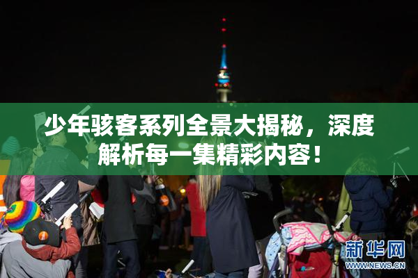 少年骇客系列全景大揭秘，深度解析每一集精彩内容！