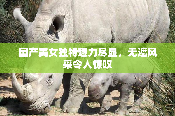 国产美女独特魅力尽显，无遮风采令人惊叹