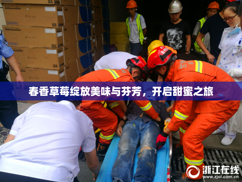 春香草莓绽放美味与芬芳，开启甜蜜之旅
