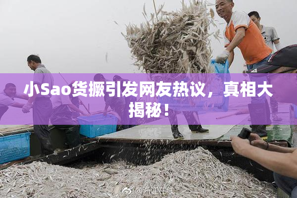 小Sao货撅引发网友热议，真相大揭秘！