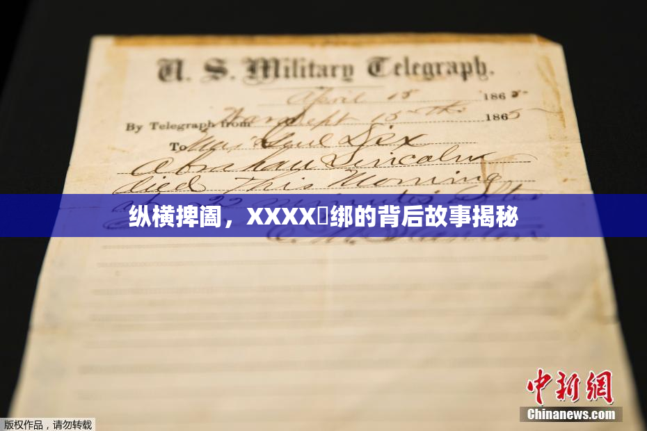 纵横捭阖，XXXX秵绑的背后故事揭秘
