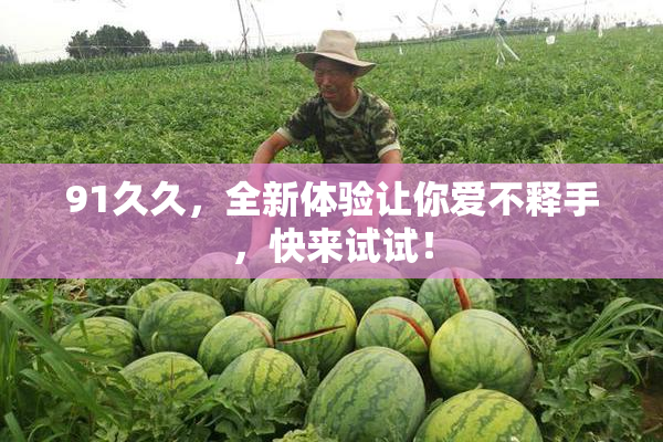 91久久，全新体验让你爱不释手，快来试试！