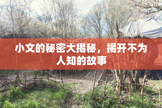 小文的秘密大揭秘，揭开不为人知的故事