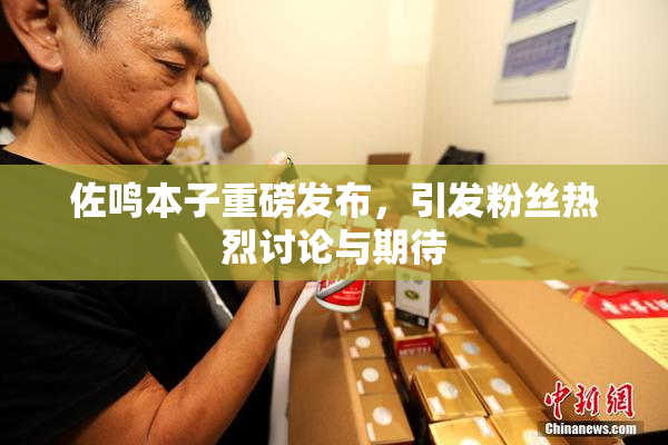 佐鸣本子重磅发布，引发粉丝热烈讨论与期待