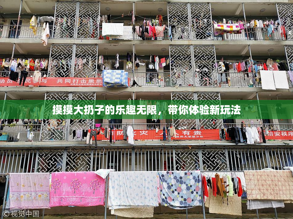 摸摸大扔子的乐趣无限，带你体验新玩法