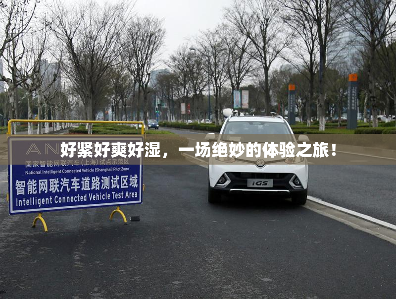 好紧好爽好湿，一场绝妙的体验之旅！