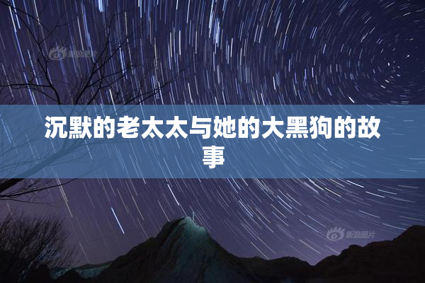 沉默的老太太与她的大黑狗的故事