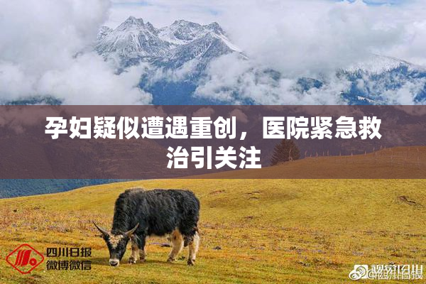孕妇疑似遭遇重创，医院紧急救治引关注