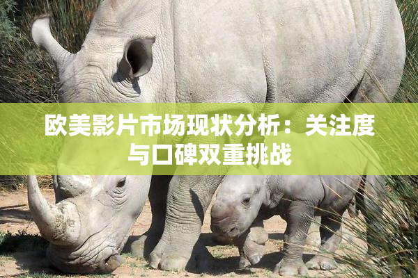 欧美影片市场现状分析：关注度与口碑双重挑战