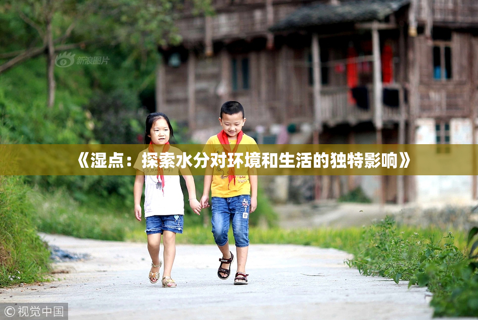 《湿点：探索水分对环境和生活的独特影响》