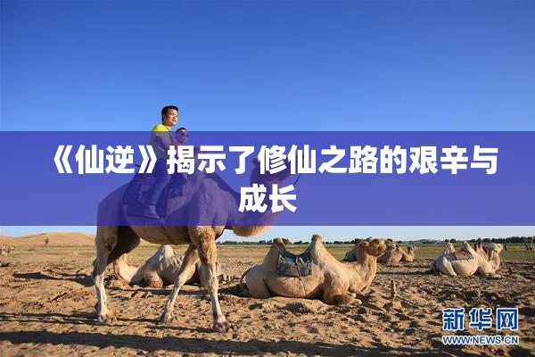 《仙逆》揭示了修仙之路的艰辛与成长