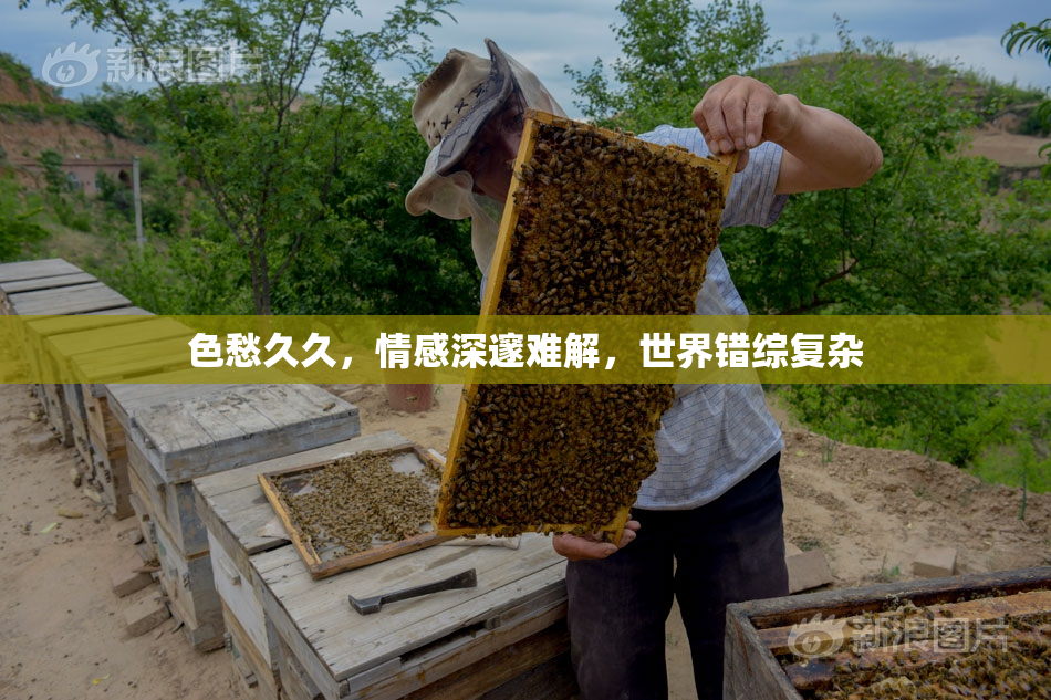 色愁久久，情感深邃难解，世界错综复杂