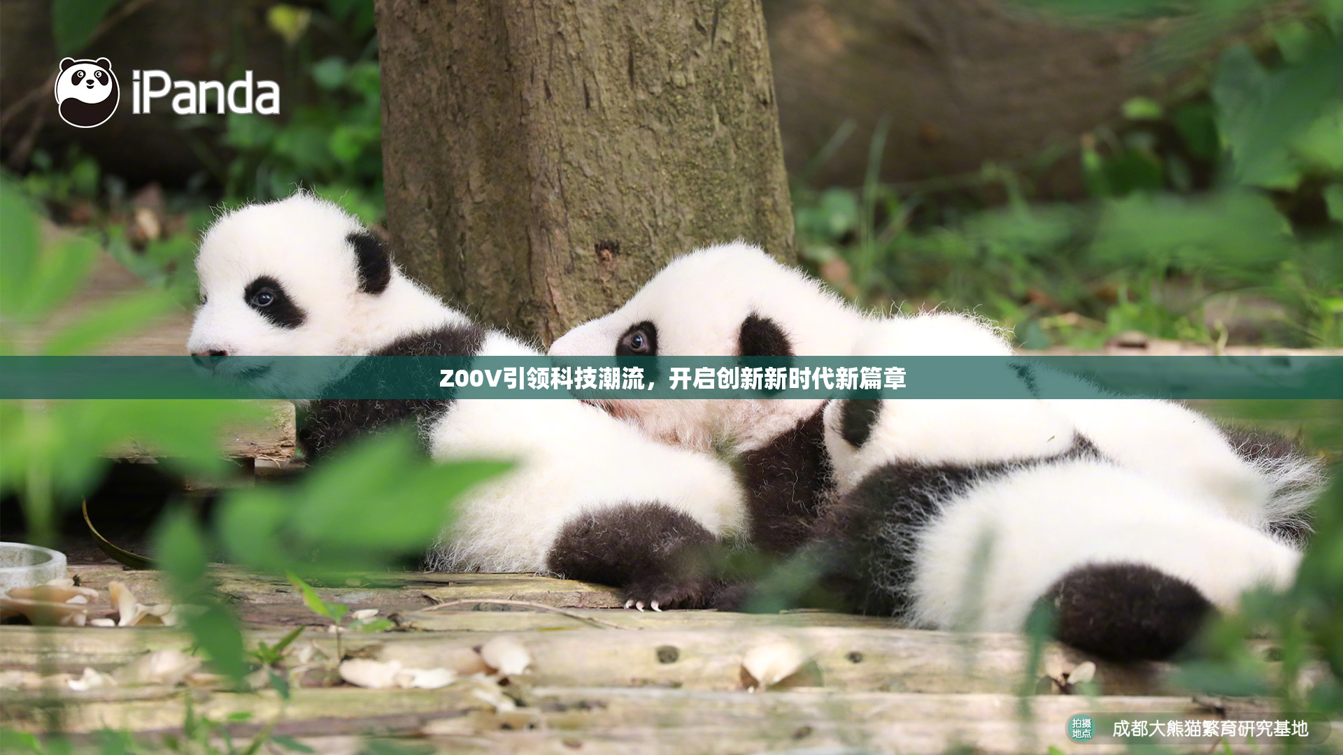 Z00V引领科技潮流，开启创新新时代新篇章
