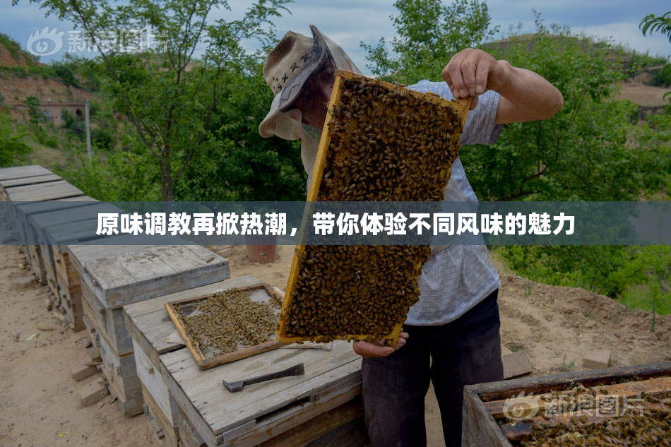原味调教再掀热潮，带你体验不同风味的魅力