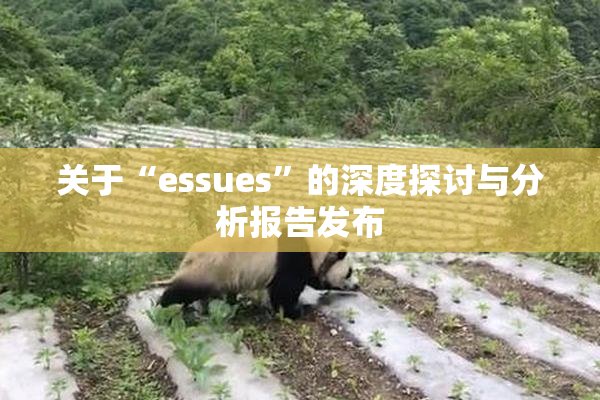 关于“essues”的深度探讨与分析报告发布