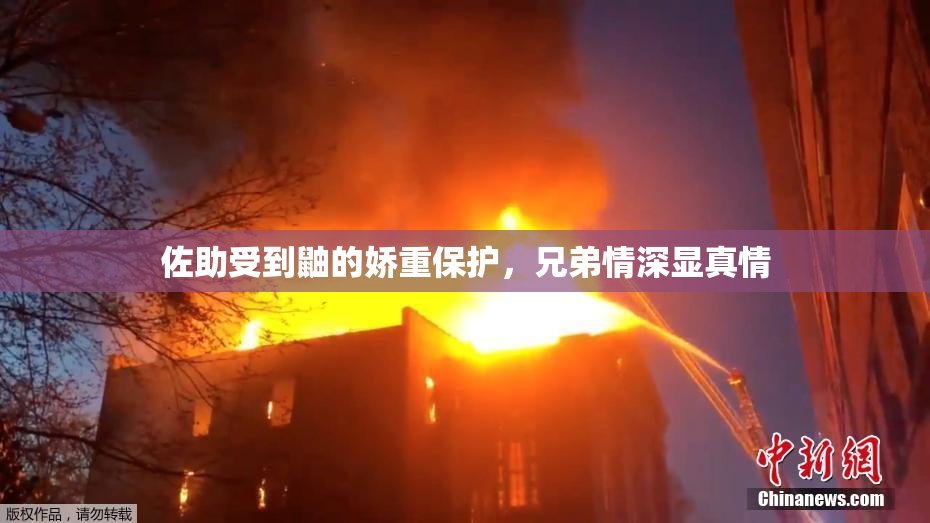 佐助受到鼬的娇重保护，兄弟情深显真情