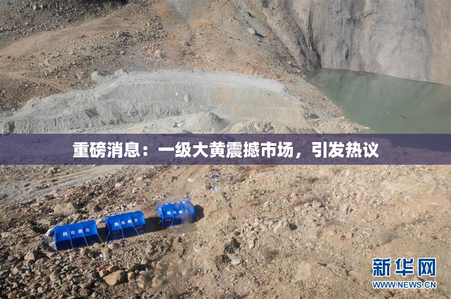 重磅消息：一级大黄震撼市场，引发热议