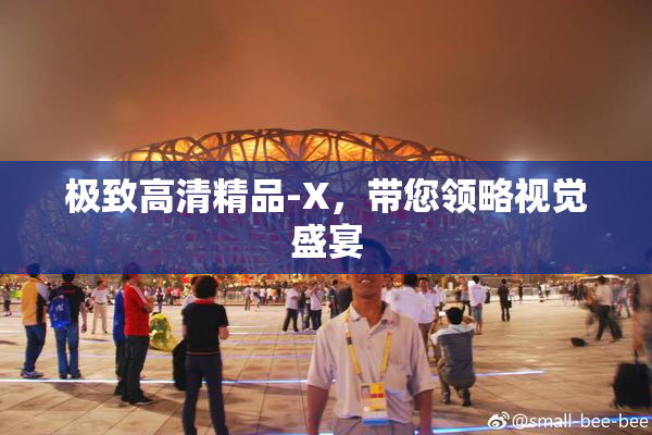 极致高清精品-X，带您领略视觉盛宴