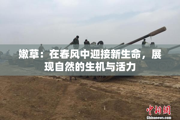 嫩草：在春风中迎接新生命，展现自然的生机与活力