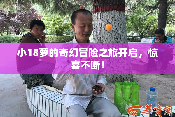 小18萝的奇幻冒险之旅开启，惊喜不断！