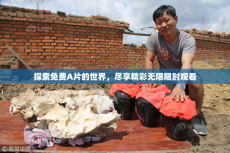 探索免费A片的世界，尽享精彩无限限时观看