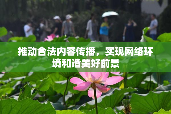 推动合法内容传播，实现网络环境和谐美好前景