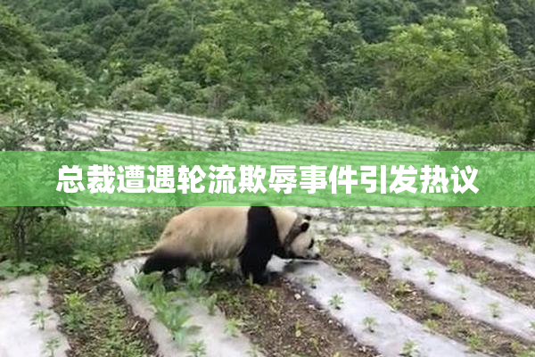 总裁遭遇轮流欺辱事件引发热议