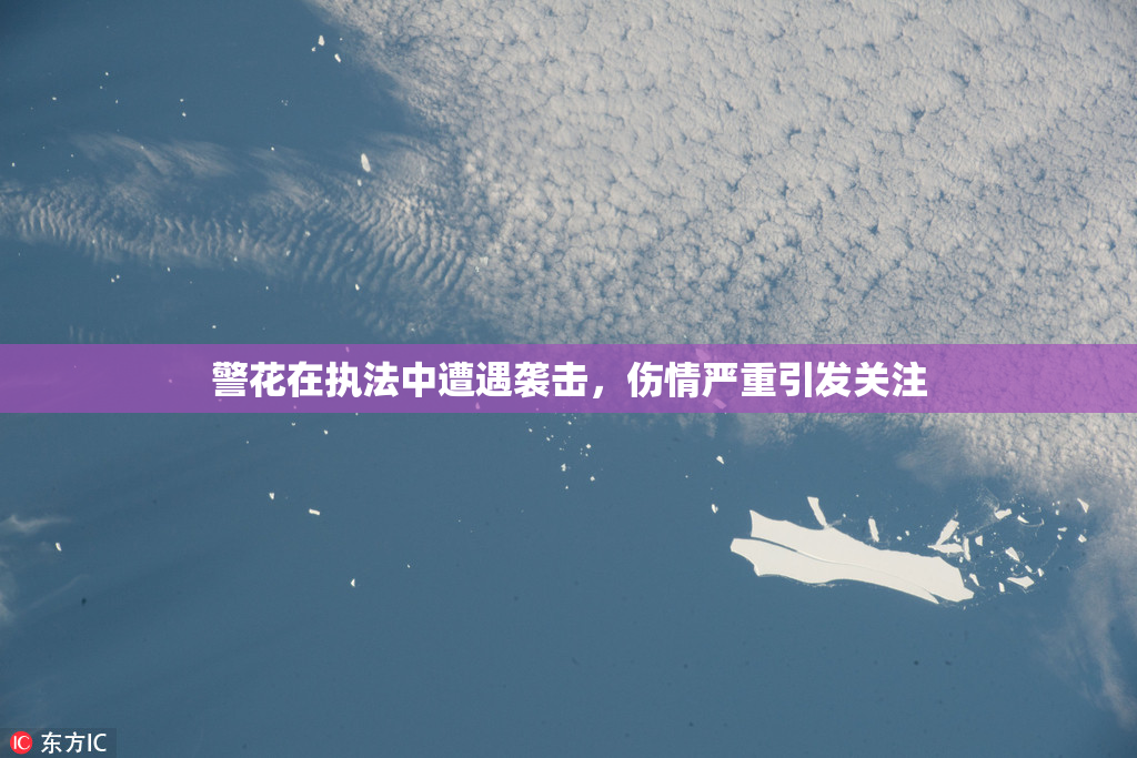 警花在执法中遭遇袭击，伤情严重引发关注