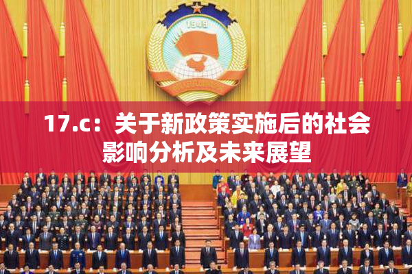 17.c：关于新政策实施后的社会影响分析及未来展望