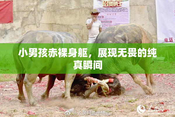 小男孩赤裸身躯，展现无畏的纯真瞬间