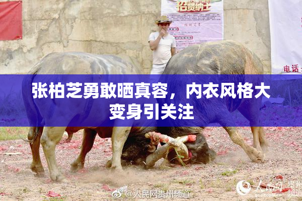 张柏芝勇敢晒真容，内衣风格大变身引关注