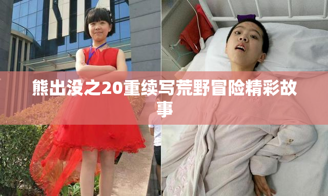熊出没之20重续写荒野冒险精彩故事