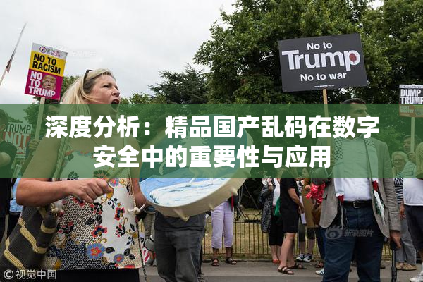 深度分析：精品国产乱码在数字安全中的重要性与应用