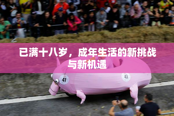 已满十八岁，成年生活的新挑战与新机遇