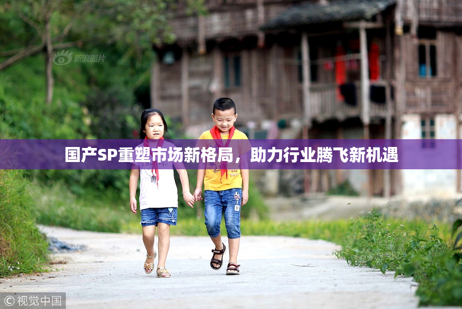 国产SP重塑市场新格局，助力行业腾飞新机遇