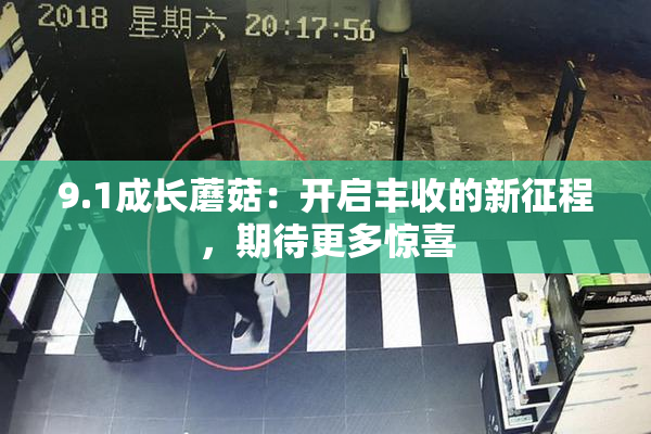 9.1成长蘑菇：开启丰收的新征程，期待更多惊喜