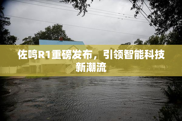 佐鸣R1重磅发布，引领智能科技新潮流