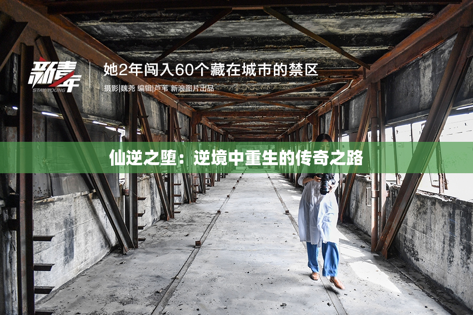 仙逆之堕：逆境中重生的传奇之路