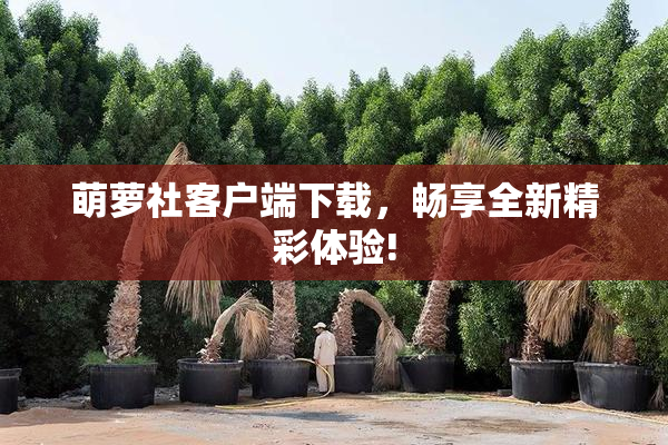 萌萝社客户端下载，畅享全新精彩体验!