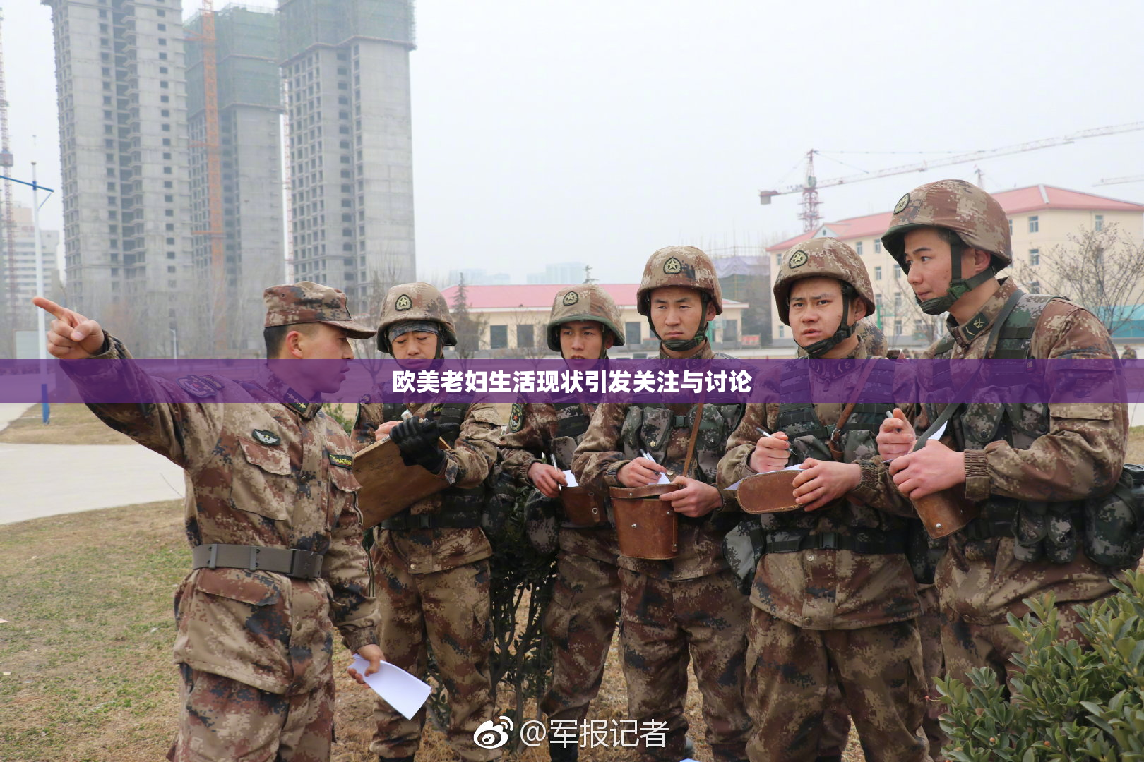 欧美老妇生活现状引发关注与讨论