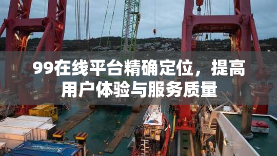 99在线平台精确定位，提高用户体验与服务质量